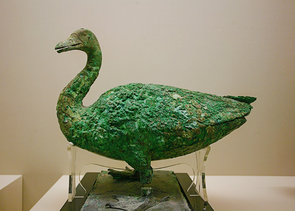 Bronze Swan Goose